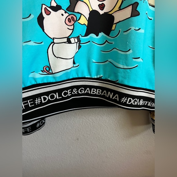 DOLCE & GABBANA Woman’s Year of the Pig Sequined-Sleeves Sweater Multicolored 46 - Picture 4 of 14